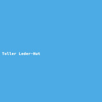Toller Leder-Hut