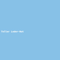 Toller Leder-Hut