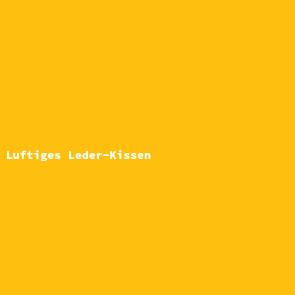 Luftiges Leder-Kissen